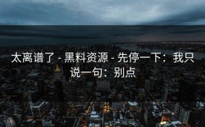 太离谱了 - 黑料资源 - 先停一下：我只说一句：别点