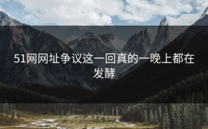 51网网址争议这一回真的一晚上都在发酵