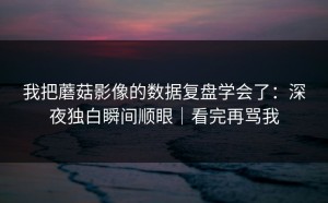 我把蘑菇影像的数据复盘学会了：深夜独白瞬间顺眼｜看完再骂我