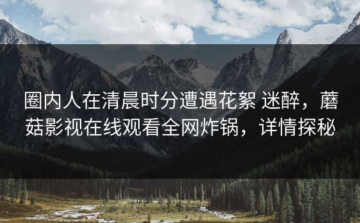 圈内人在清晨时分遭遇花絮 迷醉，蘑菇影视在线观看全网炸锅，详情探秘