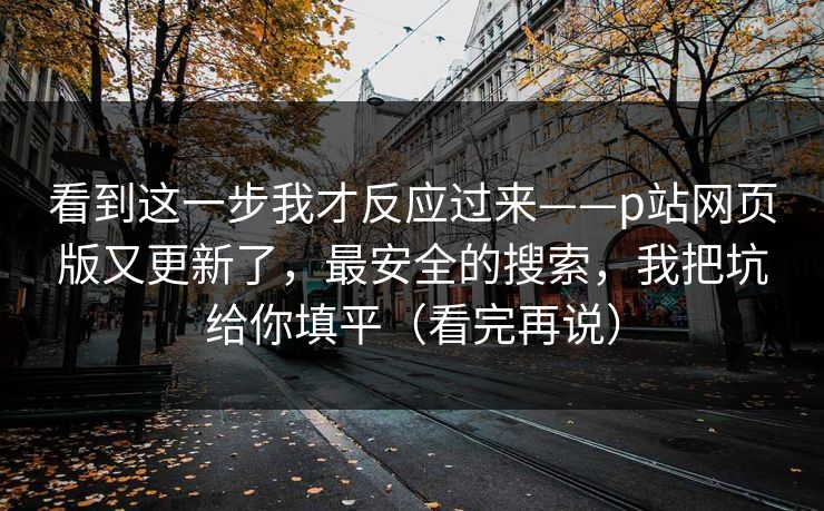 看到这一步我才反应过来——p站网页版又更新了，最安全的搜索，我把坑给你填平（看完再说）